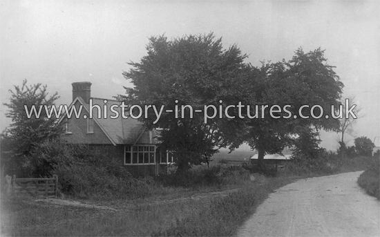 Woodrope Road, Tollesbury, Essex. c.1920's